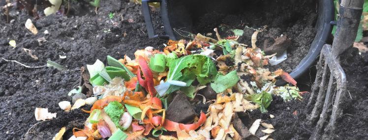 Make Your Very Own Coffee Grounds Compost