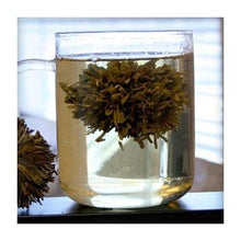 Uniq Teas Green Sea Anemone Loose Leaf Tea Grinds